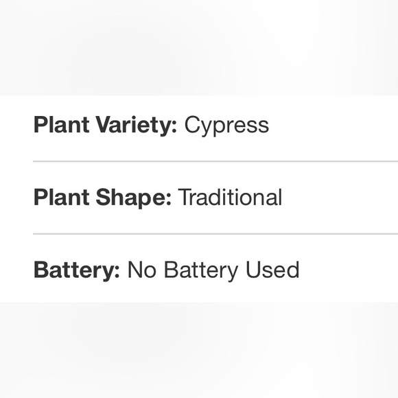 Faux Cypress Tree in Brass Pot - Hearth & Hand with Magnolia 16” LAST ONE - Picture 6 of 6